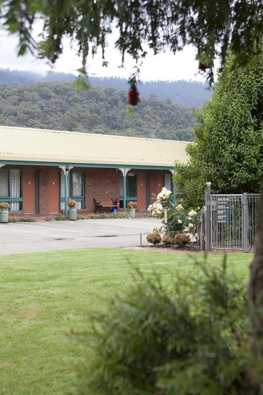 Snowgum Motel Маунт-Бьюти Экстерьер фото