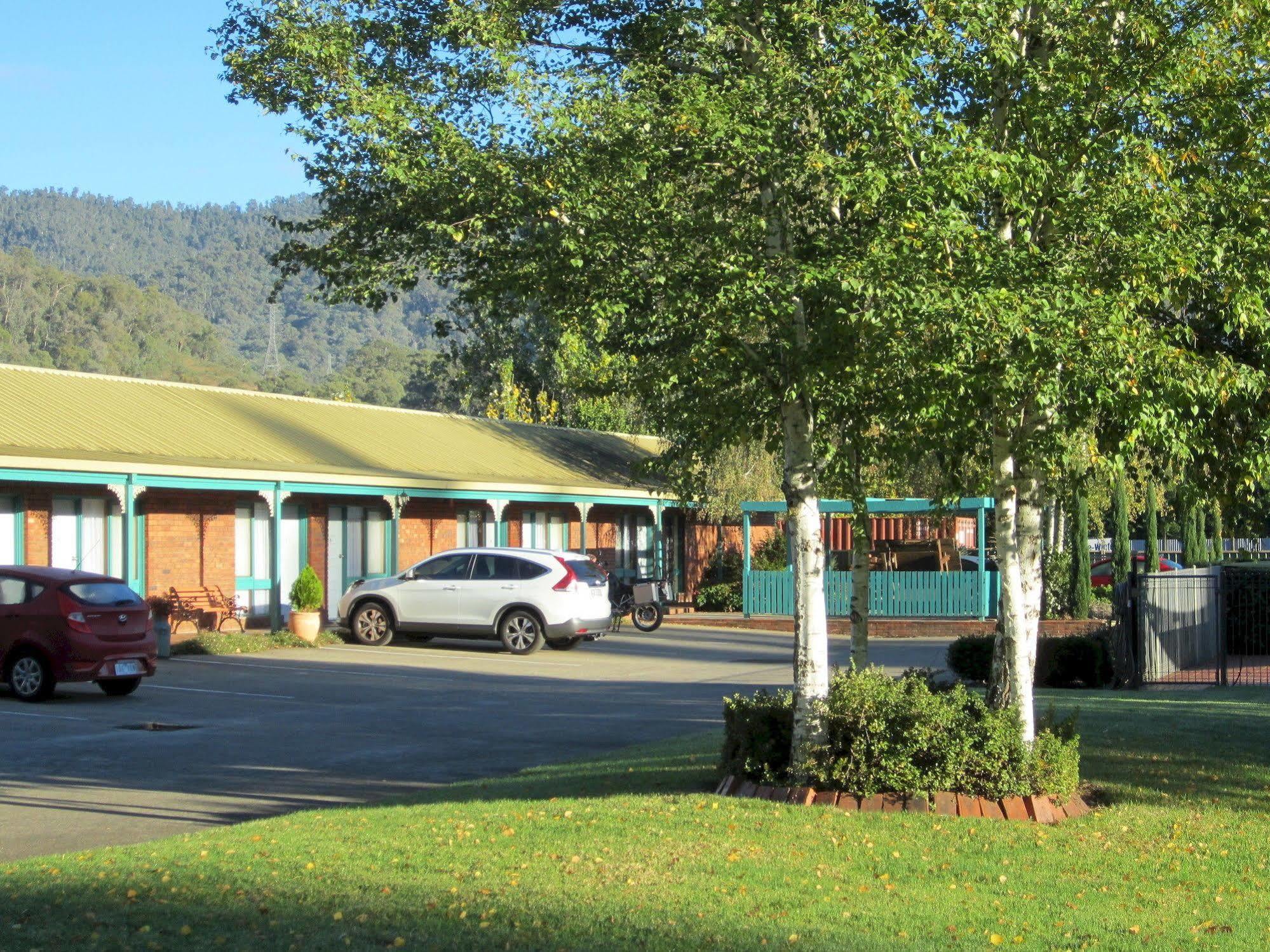 Snowgum Motel Маунт-Бьюти Экстерьер фото