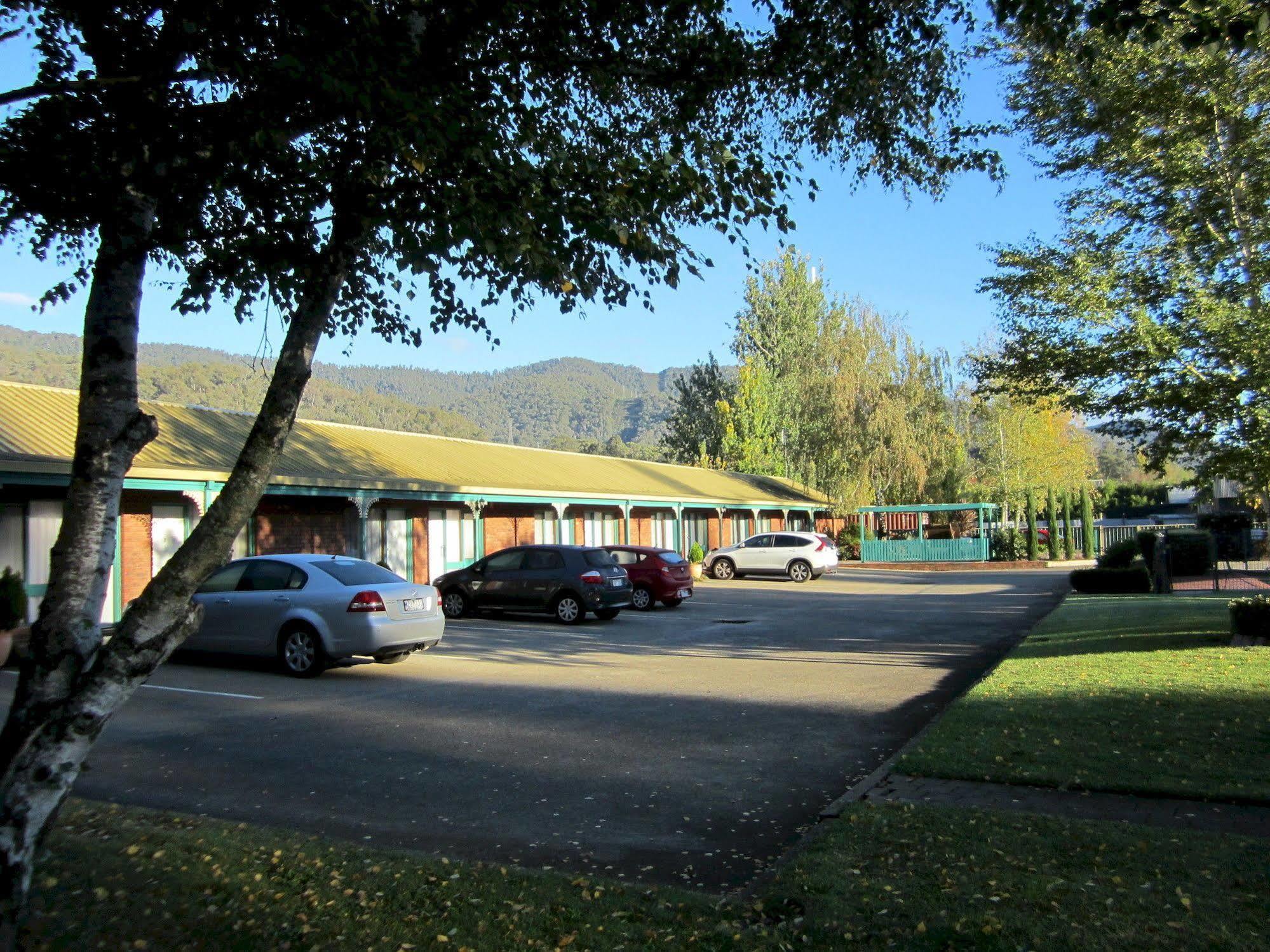 Snowgum Motel Маунт-Бьюти Экстерьер фото
